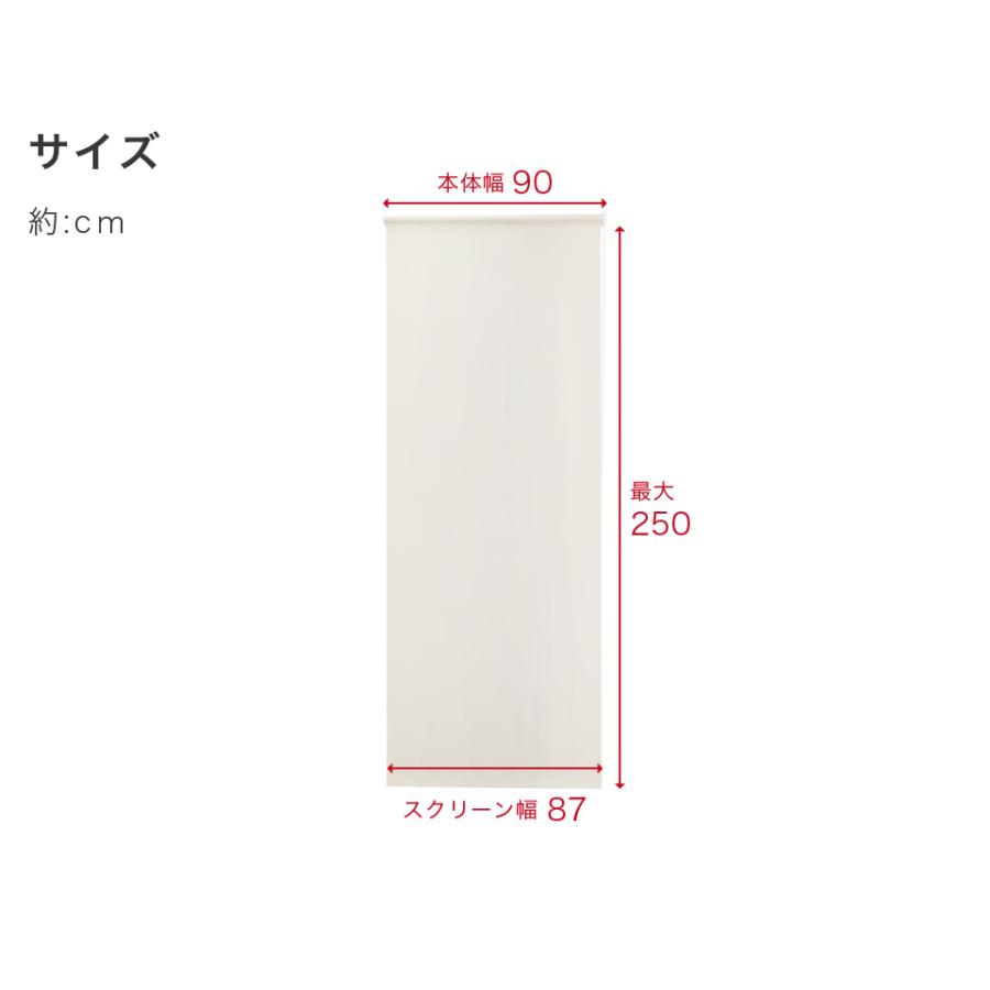 6本セット ロールスクリーン 幅90 丈250cm 目隠し 業務用 まとめ売り