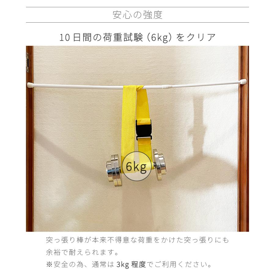 突っ張り棒 強力 ズレない 同色2本セット 落下防止 つっぱり大輔 ピン