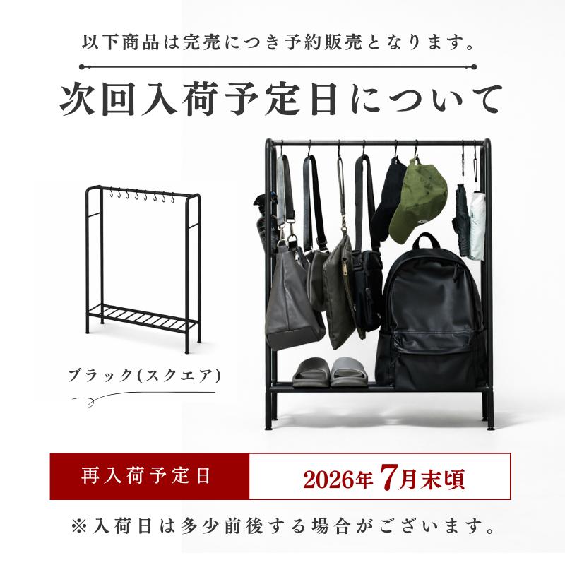 ハンガーラック スリム 頑丈 玄関 高さ90 コンパクト アイアンラック