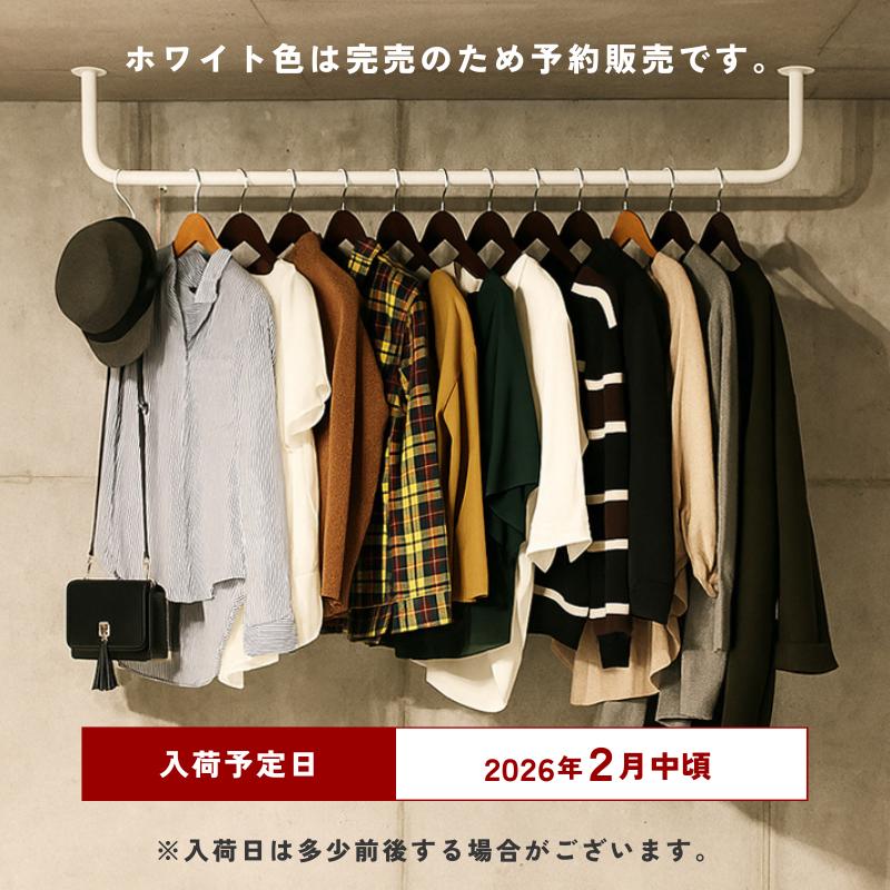 ウォールハンガー 壁掛け ハンガーバー 頑丈 おしゃれ 収納 アイアン