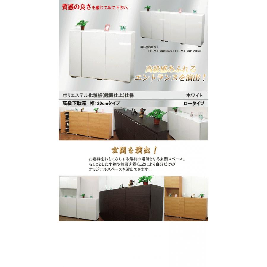 下駄箱 シューズボックス 靴箱 玄関収納 おしゃれ 収納 靴入れ シューズラック ロー ロータイプ 幅1 奥行36 高さ93 木製 Dxshu Low1 Wh 家具工場直販 家具ファクトリー 通販 Yahoo ショッピング