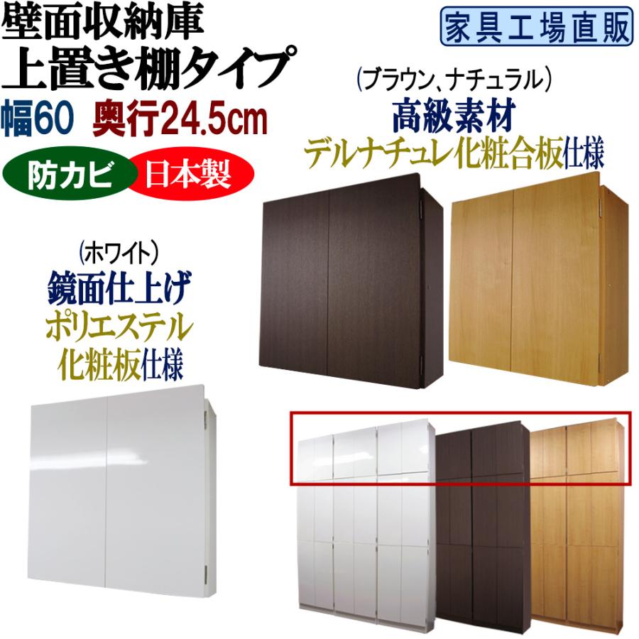 壁面収納 上置棚 幅60 奥行24.5 高さ55(扉の高さ60) Dタイプ リビング