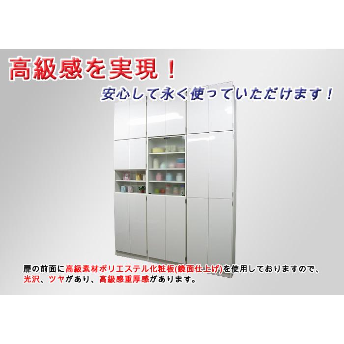 壁面収納 上置棚 幅60 奥行24.5 高さ55(扉の高さ60) Dタイプ リビング