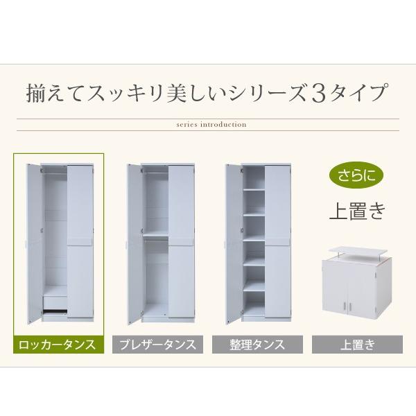 ロッカータンス 衣類収納 衣服 クローゼット タンス ロッカーダンス 