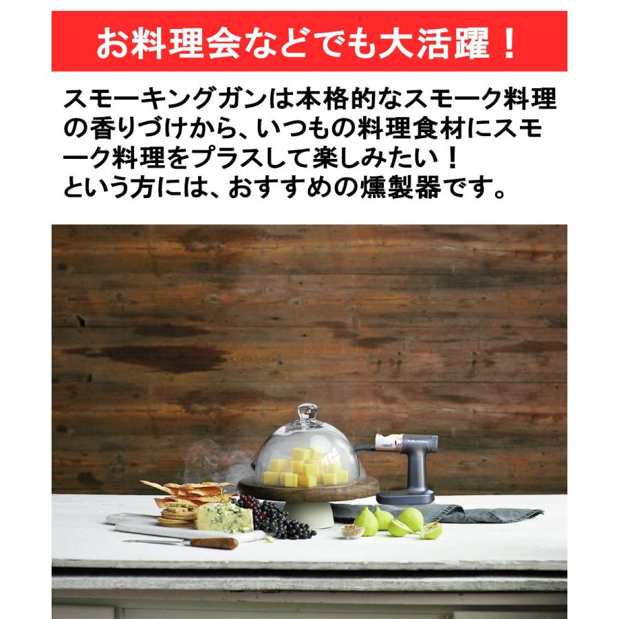 燻製器 業務用 家庭用 ポリサイエンス スモーカー スモーキングガン
