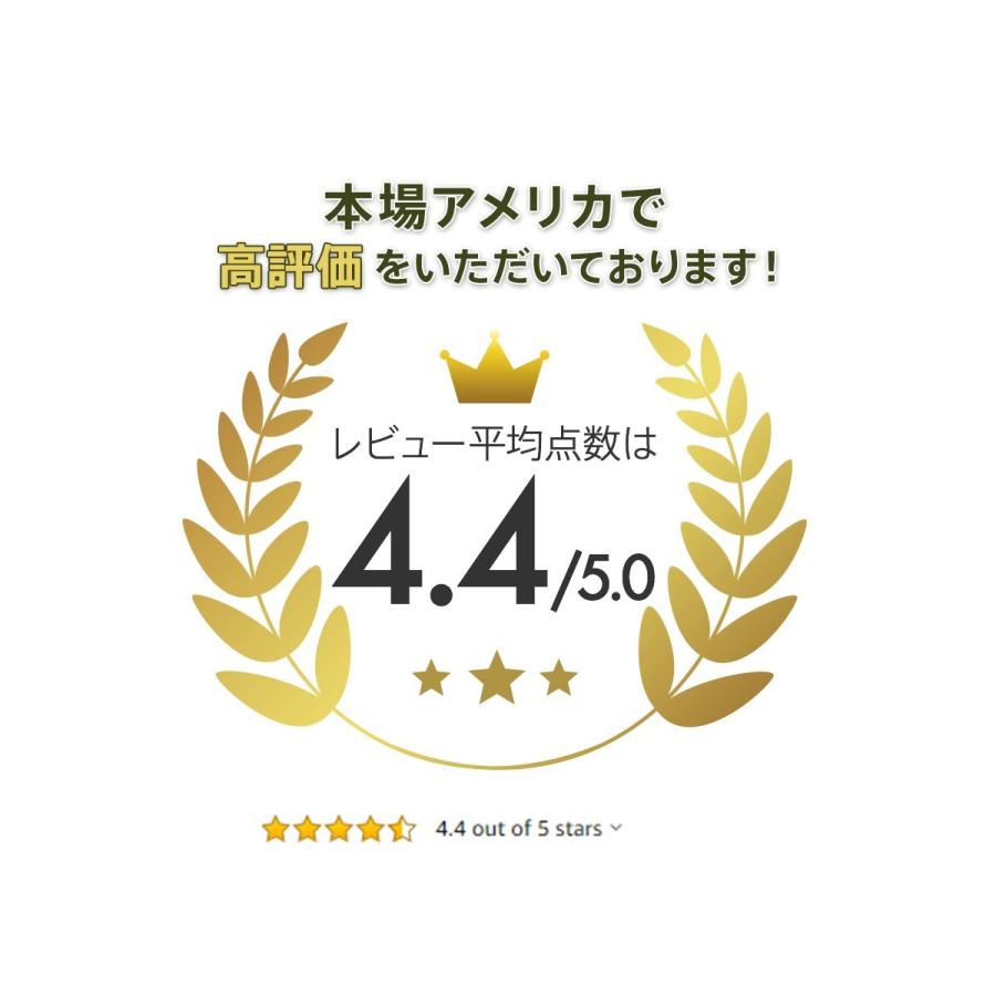 クーラーボックス 保冷力 大型 最強 クーラー シベリアンクーラー 42.5L_6