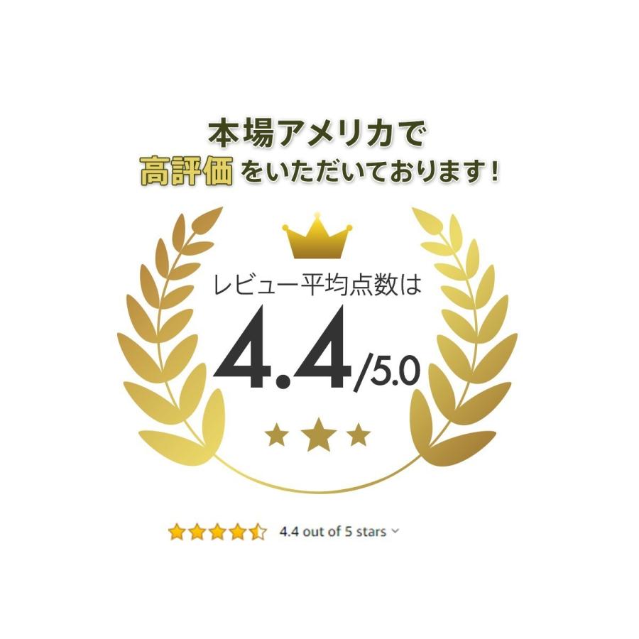 クーラーボックス 保冷力 大型 最強 クーラー シベリアンクーラー 61.5L クーラーボックス、保冷剤