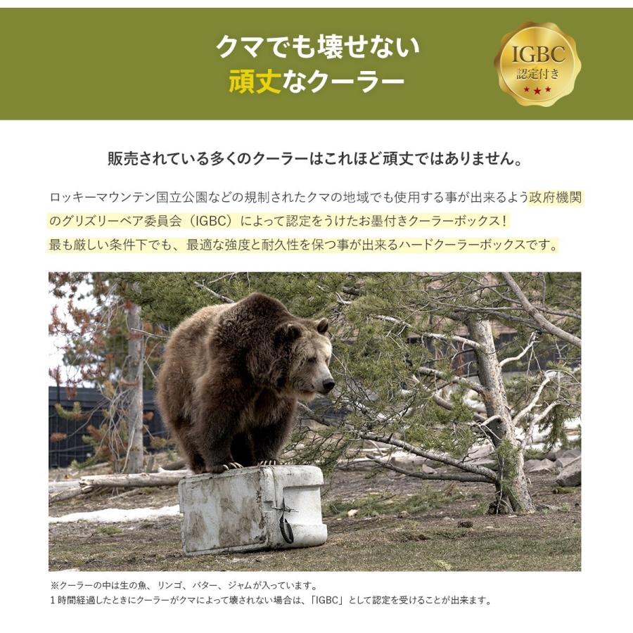 クーラーボックス 保冷力 大型 最強 クーラー シベリアンクーラー 61.5L クーラーボックス、保冷剤