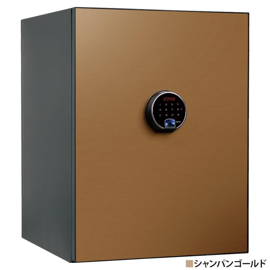 タッチパネル＋指紋認証式 プレミアム耐火金庫 BEYOND 64L W500 D555 H643 金庫 保管庫 鍵付き 覗き見防止 選べる3カラー 代引不可 法人宛限定 DM-BY700の画像