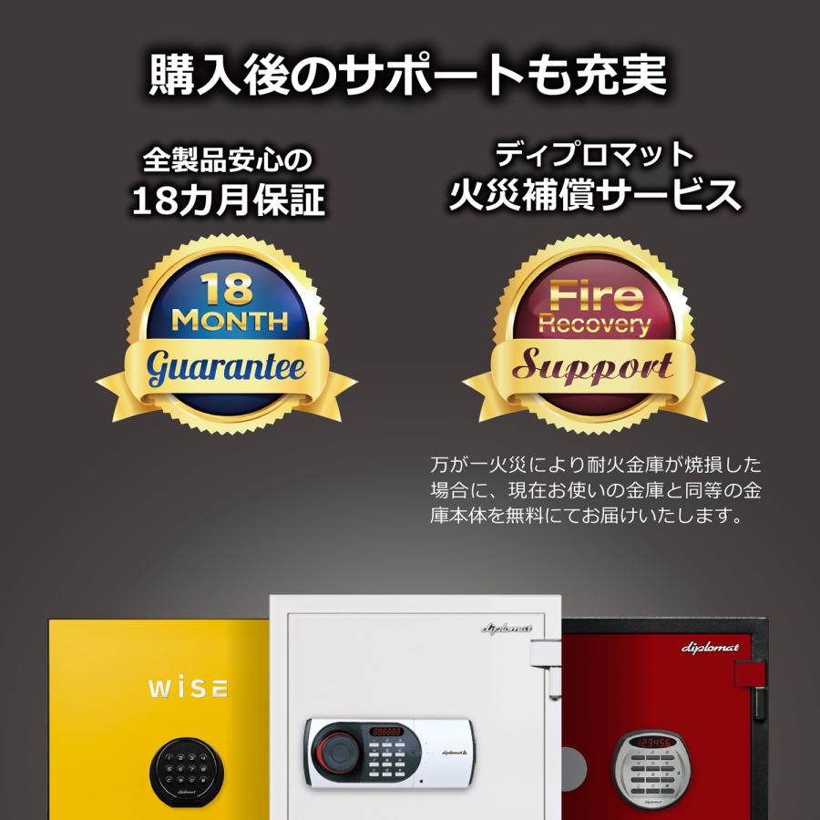 タッチパネル式 プレミアム耐火金庫 istella 36L W404 D473 H522 デザイン金庫 インテリア プレミアム金庫 テレワーク応援 代引不可 DM-S500 個人宅配送費込Bの画像