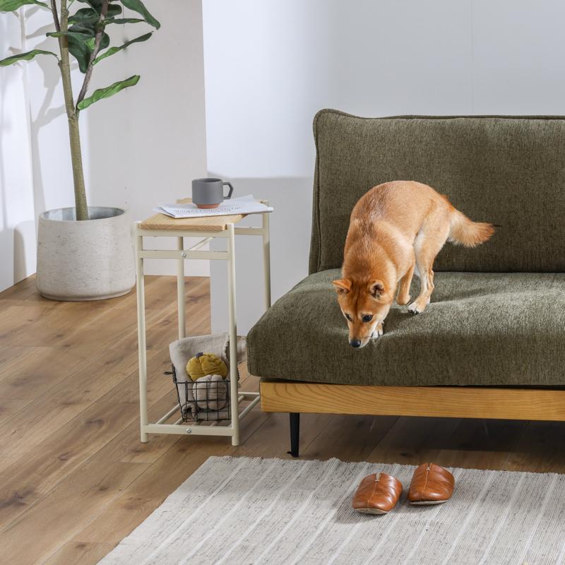 犬用クローゼット　トイプードル　ペット用 楽天市場】ペットクローゼット ドッグラック 送料無料 幅33cm