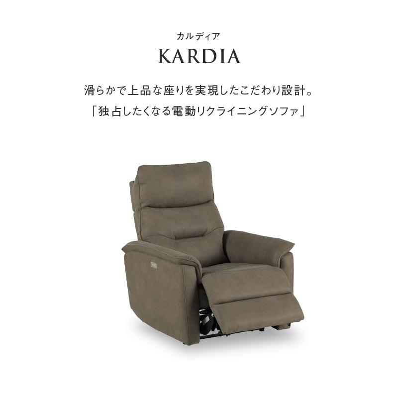 関家具 公式店 ソファ リクライニング 一人掛け 1人用 レザー 関家具 公式店 ソファ リクライニング 一人掛け 1人用 レザー