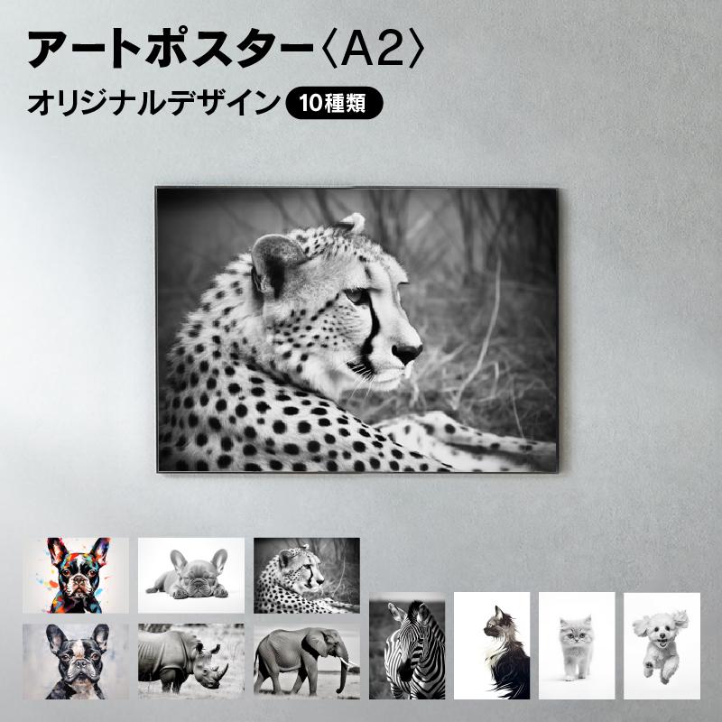 関家具 公式店 アートポスター A2 動物 アニマル 写真 イラスト 関家具 公式店 アートポスター A2 動物 アニマル 写真 イラスト