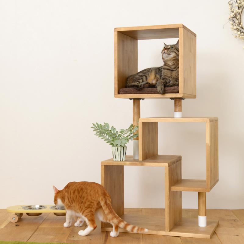 ナチュラル ペット用品 ペット 家族 Petto パコ 関家具 関家具 カグナビ 通販 Paypayモール キャット