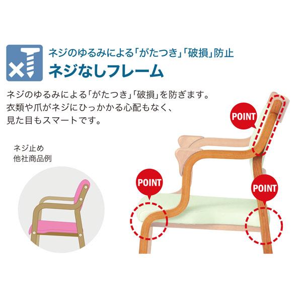ダイニングチェア 食卓椅子 介護チェア 全ひじ付ハイバックチェア ケアシリーズ Care-011-AC 玄関渡し 送料無料_4