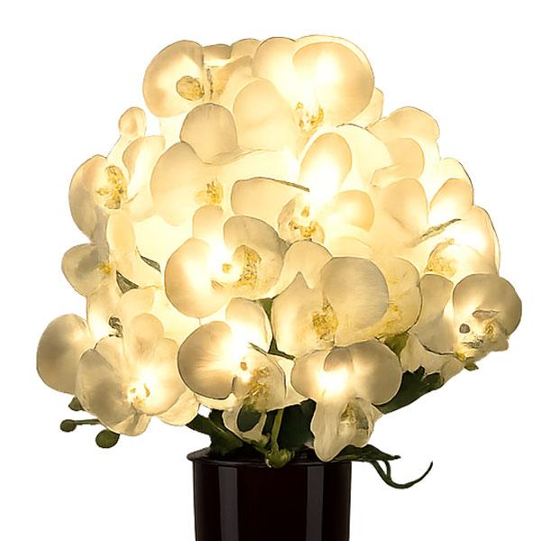 盆 提灯 胡蝶蘭 らん プレミアム お花 贈り物 ルミナス灯 造花 LED 御