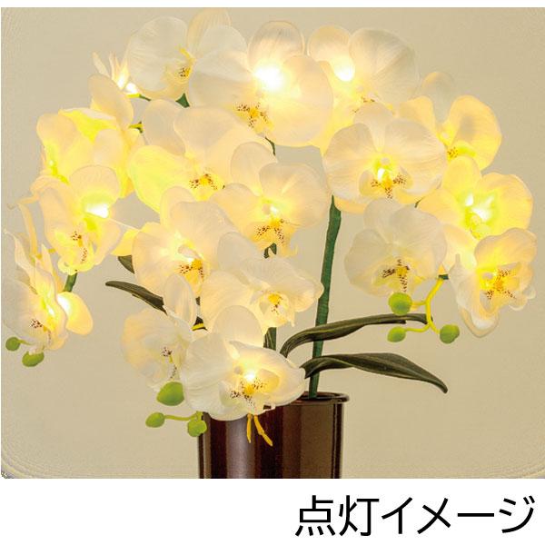 盆 提灯 胡蝶蘭 らん プレミアム お花 贈り物 ルミナス灯 造花 LED 御