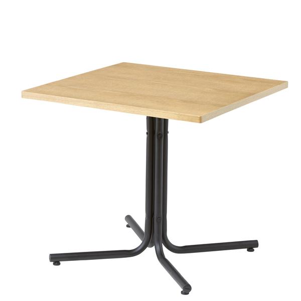 テーブル 机 カフェテーブル ダリオ 75×75 END-223TBR スチール 北欧_10