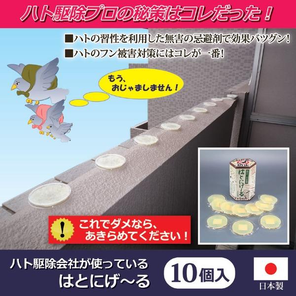 鳩よけ 鳩忌避剤 10個入り 日本製 はとにげ〜る 鳥被害 鳩の糞対策 ベランダ バルコニー ウッドデッキ 軒下 屋根｜kaguoh｜02