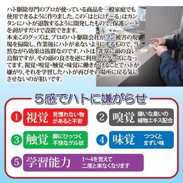 鳩よけ 鳩忌避剤 10個入り 日本製 はとにげ〜る 鳥被害 鳩の糞対策 ベランダ バルコニー ウッドデッキ 軒下 屋根｜kaguoh｜03