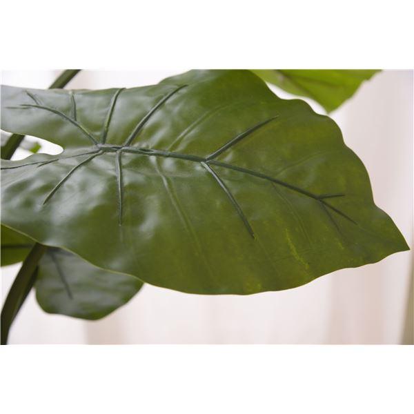 フェイクグリーン 観葉植物 クワイズモ 約幅57×奥行57×高さ117cm リビング 店舗 ショップ インテリア雑貨_2