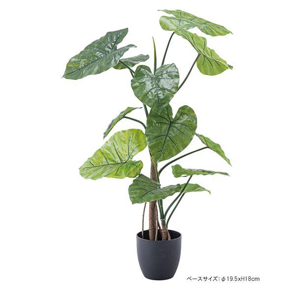 フェイクグリーン 観葉植物 クワイズモ 約幅57×奥行57×高さ117cm リビング 店舗 ショップ インテリア雑貨_5