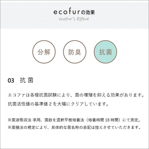 エコファシックハウス対策スプレー(300mlタイプ)有害物質の分解、抗菌、消臭効果【ECOFUR】8本セット