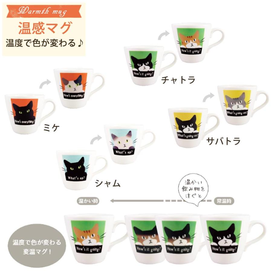 温度で色が変わる マグカップ おしゃれ 北欧風 かわいい 温感マグカップ ネコ シャム サバトラ ミケ ギフト プレゼント 贈り物 シンプル 代引不可商品 Ez0257 かぐわん 通販 Yahoo ショッピング
