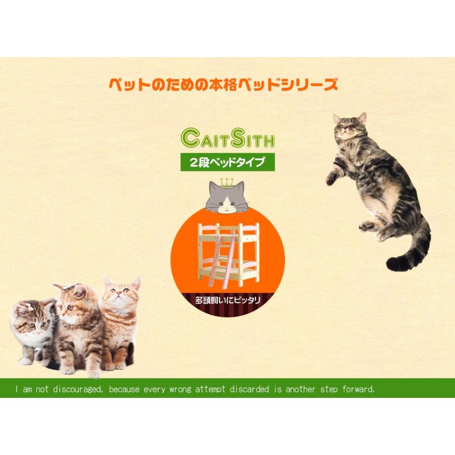 ペットベッド 夏用 キャットタワー 2段ベッド 2段 2匹 スノコベッド ペット用品 猫 洗えるすのこ 猫用 男の子 女の子 Jsk 0037 かぐわん 通販 Yahoo ショッピング