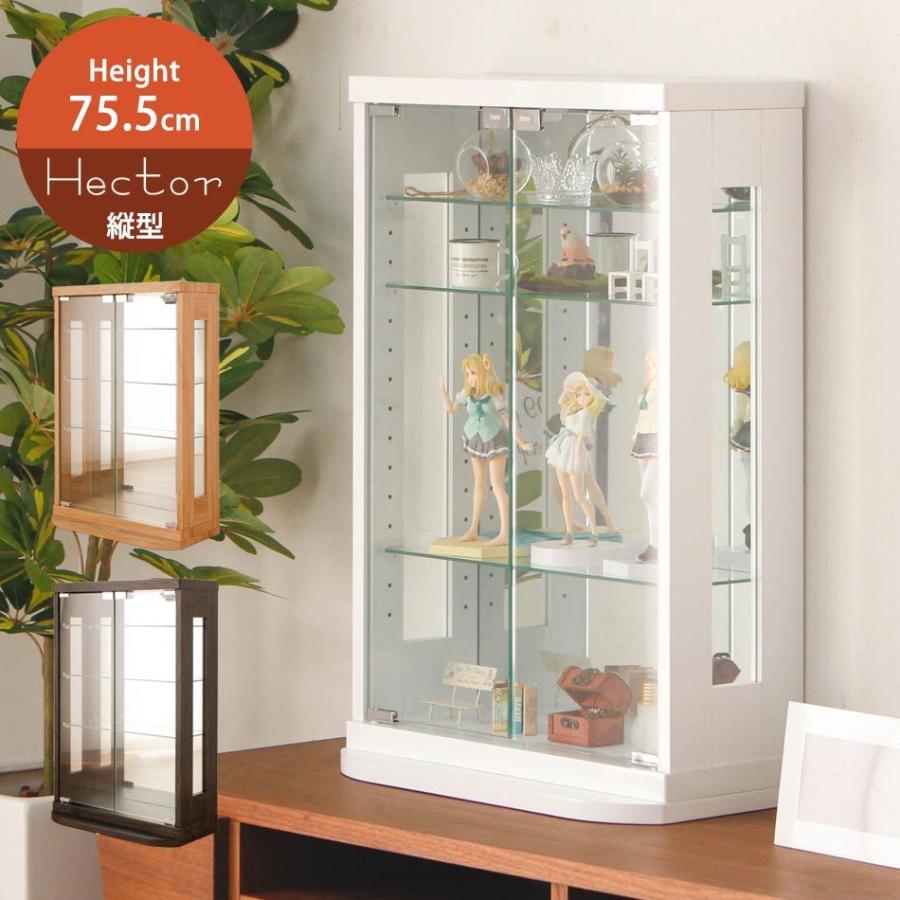 コレクションケース 幅50cm 縦75.5cm ヘクトール 卓上コレクション 