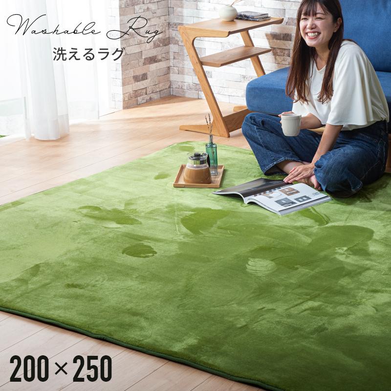 KAGUWORLD マイクロファイバー ラグ 200×250cm 3畳 敷物 ホット