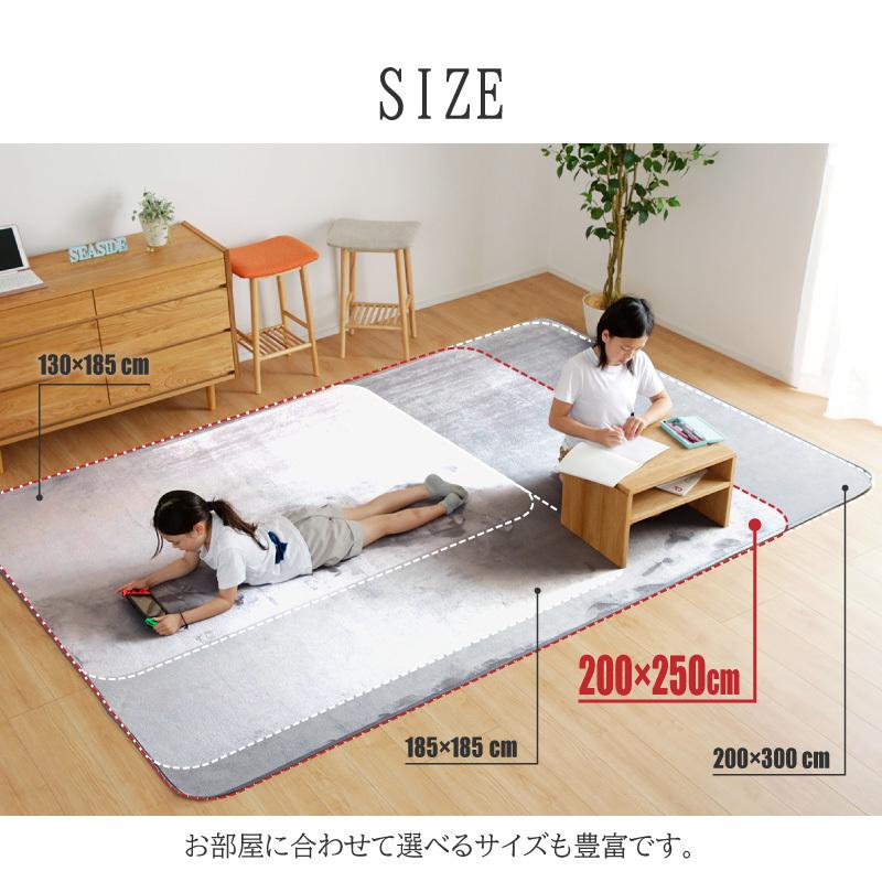 KAGUWORLD マイクロファイバー ラグ 200×250cm 3畳 敷物 ホット