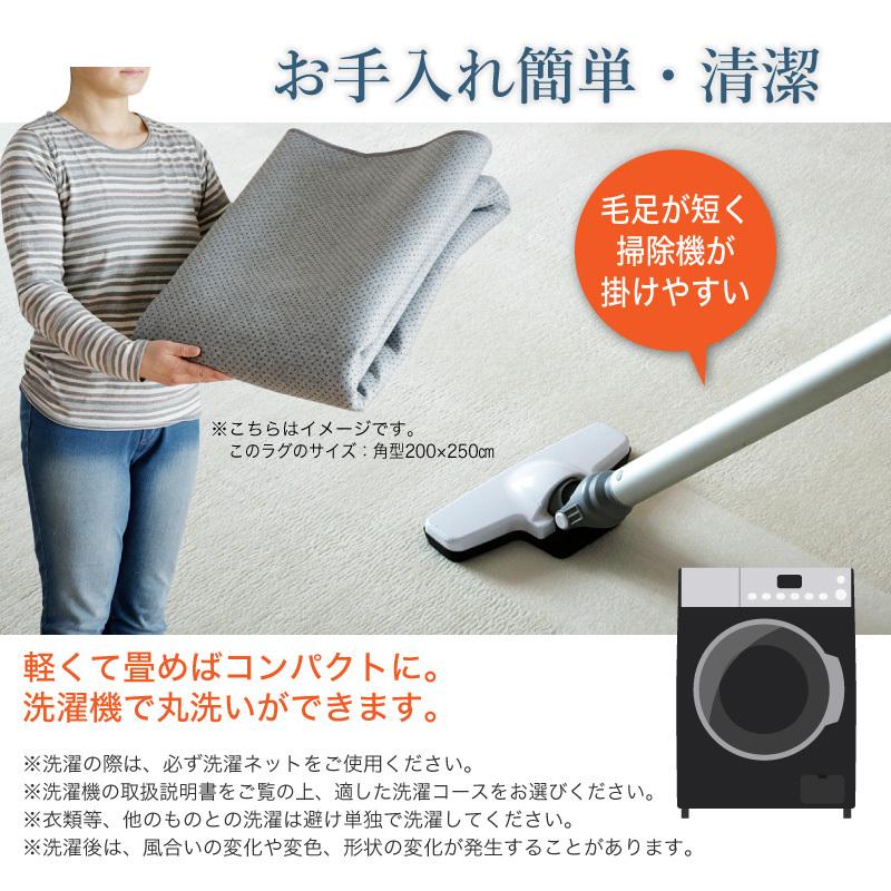 KAGUWORLD マイクロファイバー ラグ 200×250cm 3畳 敷物 ホット
