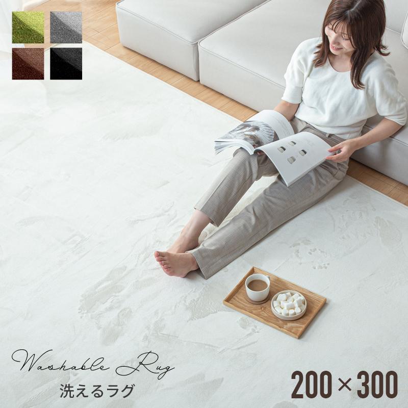 KAGUWORLD マイクロファイバー ラグ 200×300cm 4畳 敷物 ホット