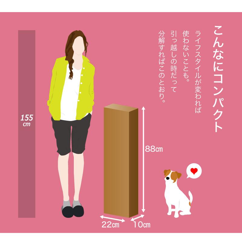 KAGUWORLD ハンガーラック 突っ張り 突っ張り棒 スリム ウォークイン