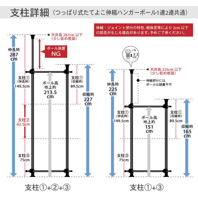 KAGUWORLD ハンガーラック 突っ張り 2連 スリム ウォークイン