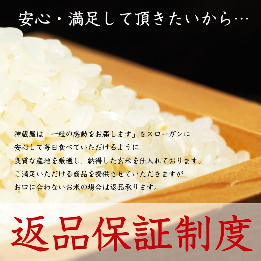 農家直売 コシヒカリ 白米 10キロ 令和7年兵庫県産 オマケ付き