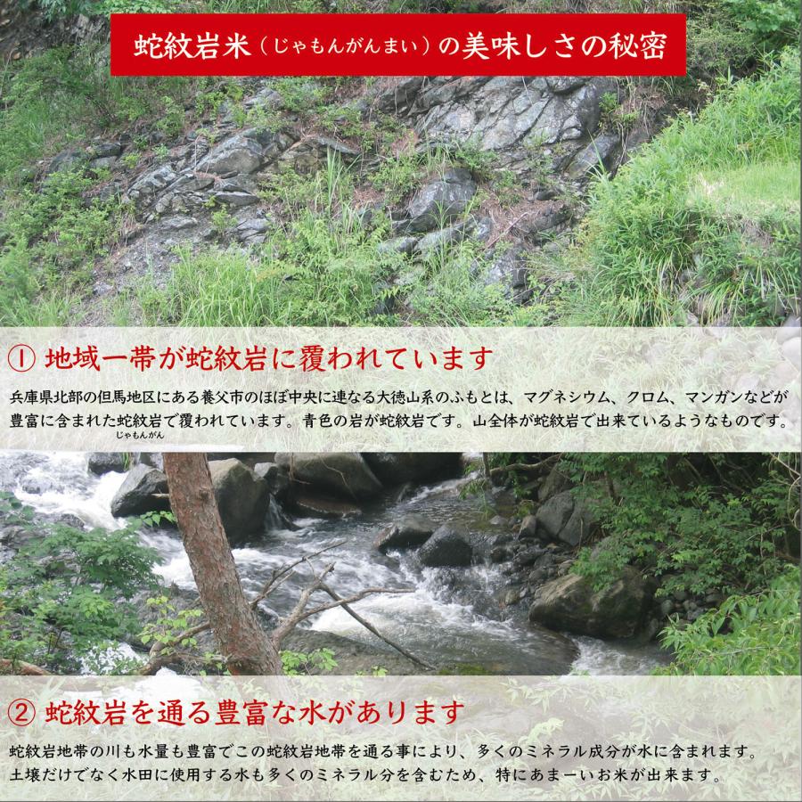 コシヒカリ 【令和7年産】【送料無料】【白米】兵庫県たじま養父産 