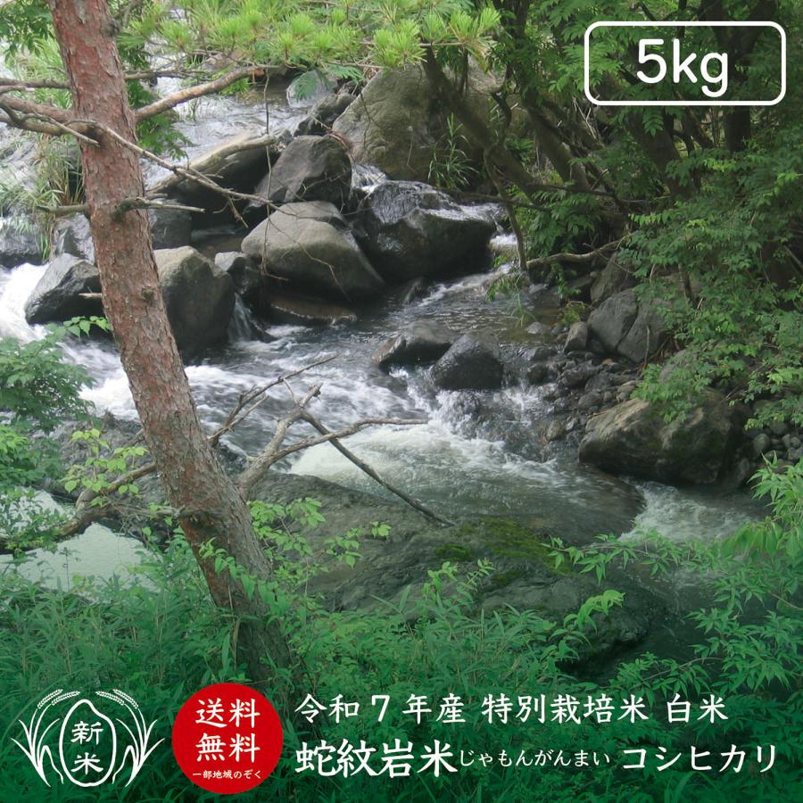 令和2年産 送料無料 蛇紋岩米 じゃもんがんまい 5kg コシヒカリ こしひかり 兵庫県たじま養父産 Jyamon 5 お米の専門店 神蔵屋 Yahoo店 通販 Yahoo ショッピング
