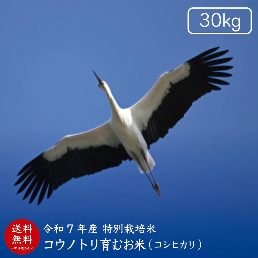 コシヒカリ 【令和7年産】【送料無料】コウノトリ育むお米玄米30kg 
