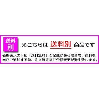 ポータブルステージ アルミ製 ノンスキッドフロア貼り 高さ60cm 折りたたみ式 キャスター付き ステージ台 舞台 AL-0006｜kaguro｜12