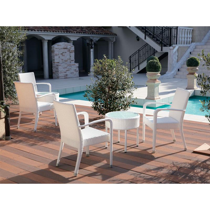 ガーデンチェア 屋外用 テラス席 屋外対応 チェア 椅子 肘付