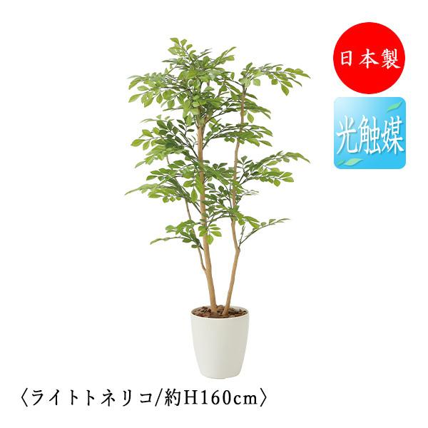 フェイクグリーン トリネコ オフィスグリーン 光触媒 人工観葉植物