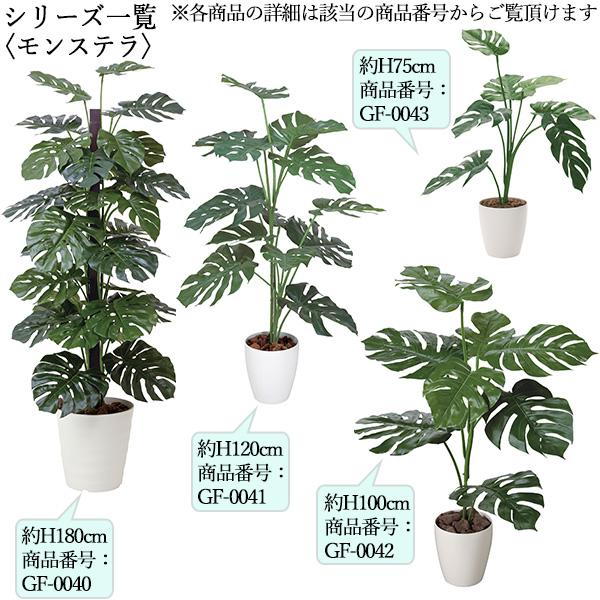 フェイクグリーン モンステラ オフィスグリーン 光触媒 人工観葉植物 人工樹木 造花 鉢植え 床置き型 高さ約100cm 緑 オフィス緑化 GF-0042の画像