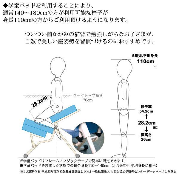 プロポーションチェアセット  姿勢矯正家具 3WAY スツール ソファ 学習椅子 いす 大人兼子供用 本体+補助クッションセットRS-0026の画像