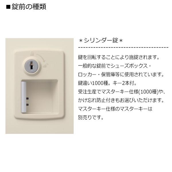 【訳あり品】 3列8段24人用 シューズボックス 下駄箱 靴箱 シューズラック スチール アクリル窓付 錠付 鍵付 扉付 業務用 学校 オフィス 玄関 収納 SE-0191 【OCQ1769936210】(62832円)