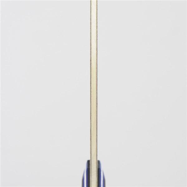 現品発送 STIGA（スティガ）中国式ラケット CARBONADE 290 PENHOLDER（カーボネード 290 中国式ペンホルダー） 【2798432398】(14625円)