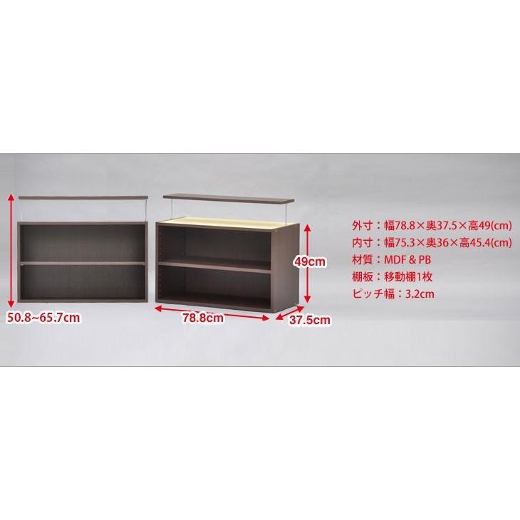 エシカ幅80cm上台(W800) 幅78.8cm 奥行き37.5cm 高さ49cm 送料無料 収納棚 収納ラック カラーボックス フリーラック 本棚 隙間収納 すきま収納 すき間収納｜kaguto｜07