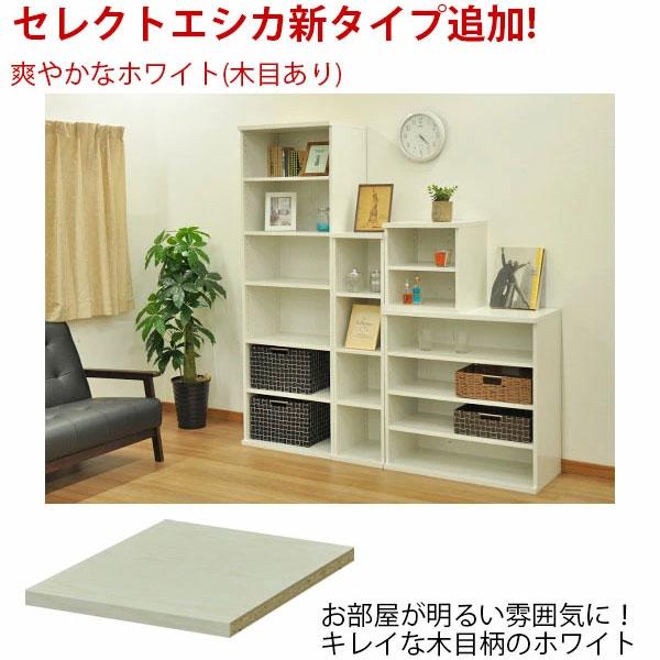 収納棚 幅40cm 奥行40cm セレクトエシカ9040(SS-9040EC) 幅40.1cm