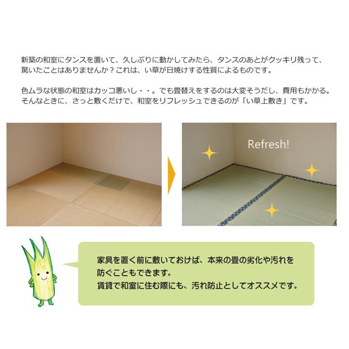 純国産 い草 上敷き カーペット 『ほほえみ』 畳上敷き リバーシブル 本間2畳(約191×191cm) い草上敷き 九州産い草 ござマット ゴザマット 日本製 双目織_2